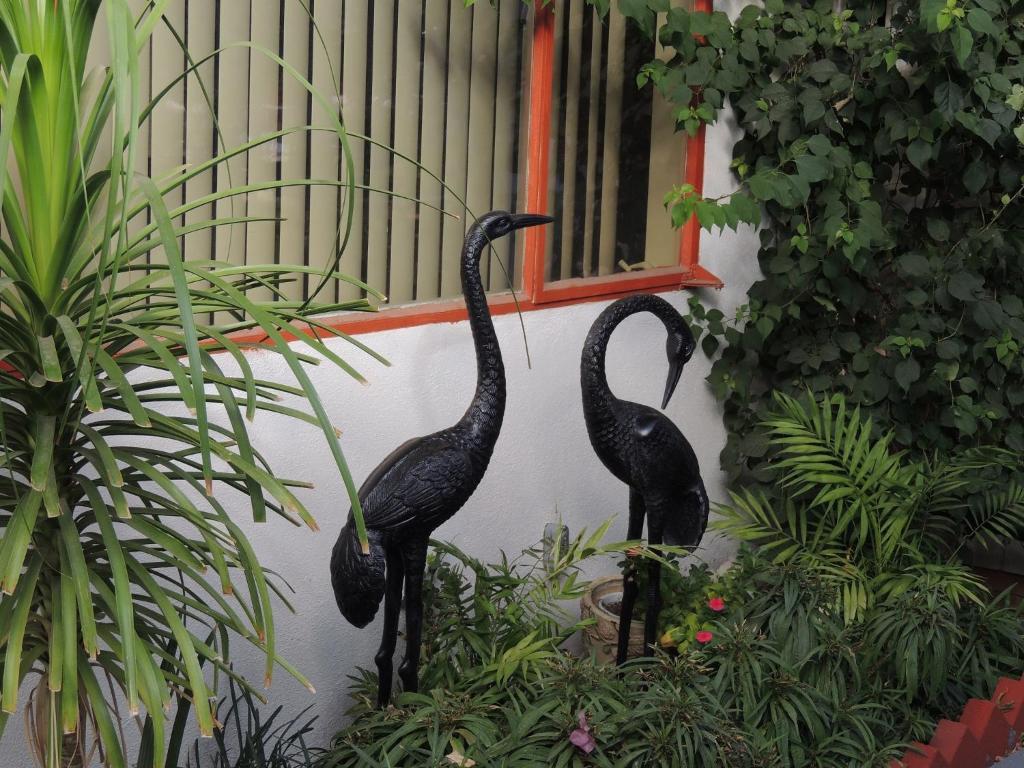 Casa Larrea Inn Palm Desert Exterior foto